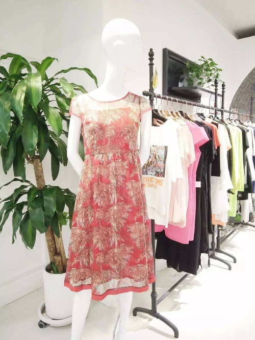 慧蘭女裝 優雅風尚，演繹東方女性的獨特魅力